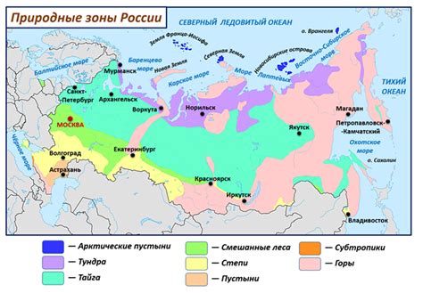 Тайга: особенности природной зоны России