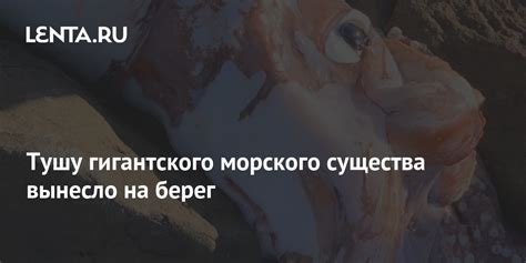 Тайна гигантского морского существа: скрытые желания и потребности