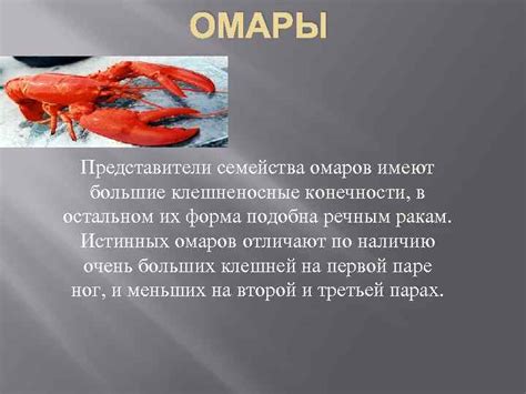 Тайна ориентации: запомнивающаяся информация в сновидениях, где встречаются лобстеры