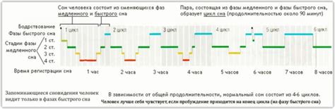 Тайна сновидений: значимость скумбрии в ночных видениях