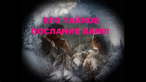 Тайное послание от подсознания: о чем нам говорит замысловатый сон енота?