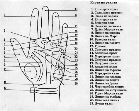 Тайный синоним в ладони: расшифровка тайного послания сна