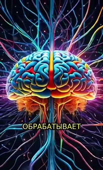 Тайны подсознания: сны о неприготовленной пище и особенности женской психики