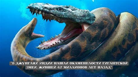 Тайны снов: расшифруйте загадку появления гигантской змеи в вашем сне