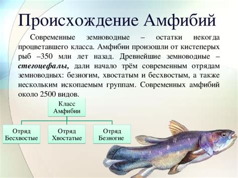 Тайны сновидений: символика и причины интерпретации образа амфибии у женщин