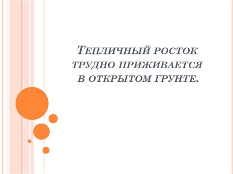 Тайны снов с любезными питомцами: сближение семьи и формирование доверительных отношений