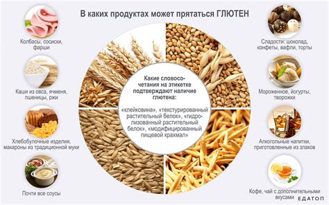 Тарелка для животных с препятствием: основные преимущества и рекомендации по выбору