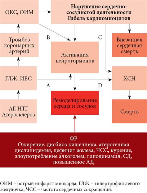 Тема 1: Важность сновидений, связанных с сердечно-сосудистым специалистом