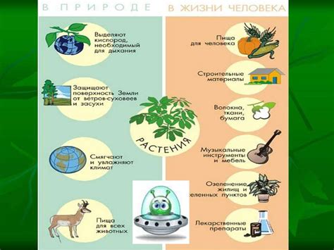 Тема 1: Значение снов о пересадке растений в горшках в микрофлоре