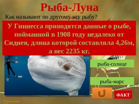 Тема 2: Психологический аспект сна о пойманной крупной рыбе голыми руками в прозрачной воде