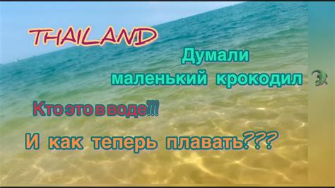 Тема 2: Тайные послания подсознания: маленький крокодильчик в сновидениях мужчин