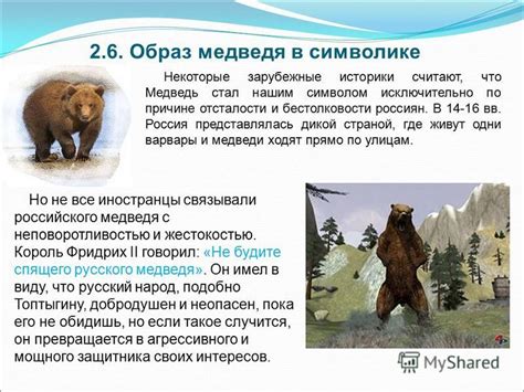 Тема 5: Озверевший медведь как символ внутренней борьбы в сновидениях