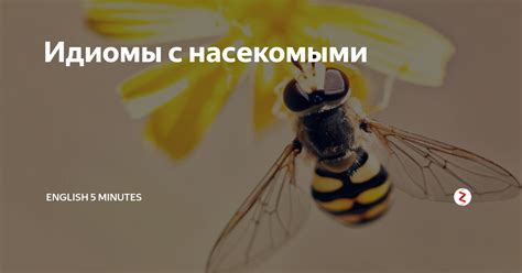 Темы для информационной статьи о значениях сновидений, связанных с мелкими насекомыми, для представительниц прекрасного пола: