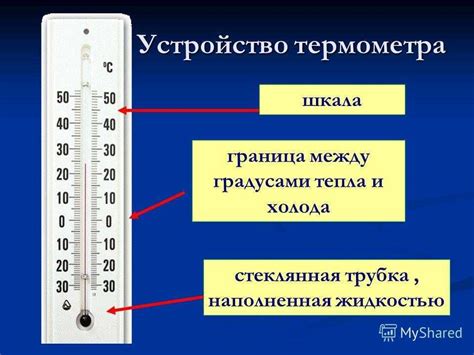 Термометр 2 класса окружающий мир и его функции