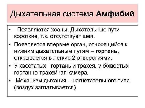 Техники анализа снов с большим количеством амфибий в помещении: пути применения интерпретации