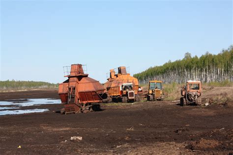 Техники использования торфа и земли вместе