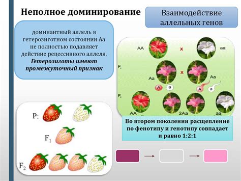 Типы наследования и генетические законы