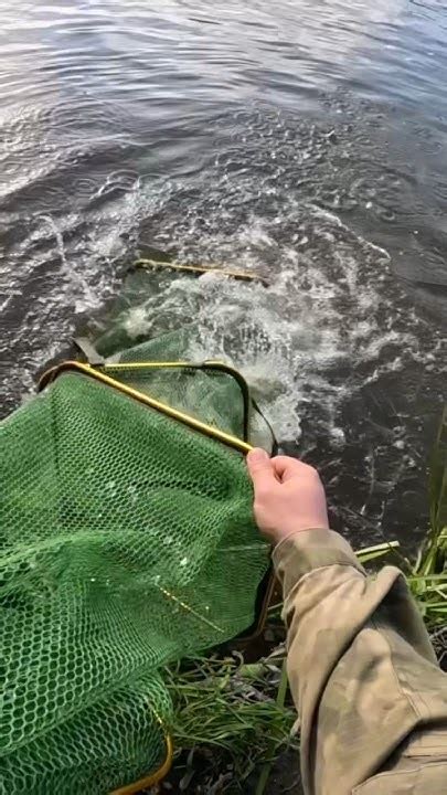 Толкование знаков сна со льдовитой пойманной рыбой