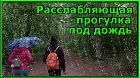 Толкование сна: прогулка во время дождя