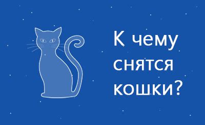 Толкование сна: что означает видение родов у кошки?