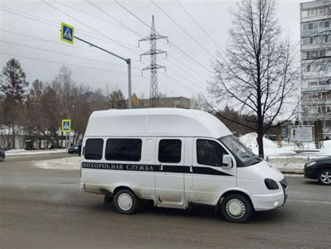 Толкование сновидений о кошке, выпавшей из окна в разных культурах