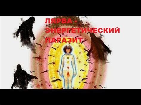 Трактовка символа лярвы в соннике