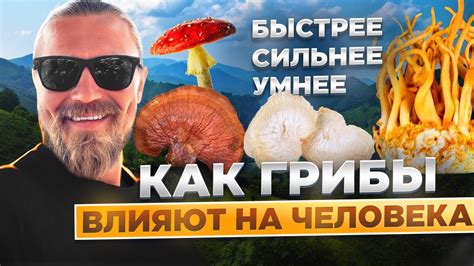 Трансцендентные видения: как грибы влияют на сновидческий мир