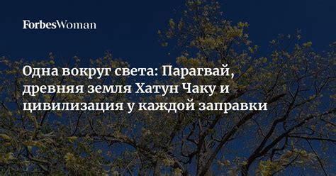 Тревожные догадки и слухи вокруг исчезновения Эсмы Хатун