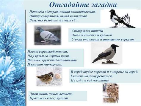 Углубитесь в мир подсознания: разгадайте загадки ночных снов о птицах