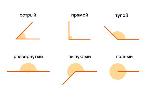 Угол, равный 1/2 в геометрии