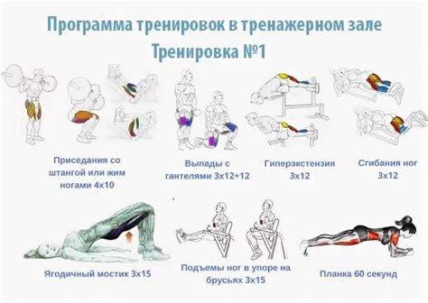 Уделяем внимание силовым упражнениям