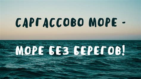 Удивительное Саргассово море