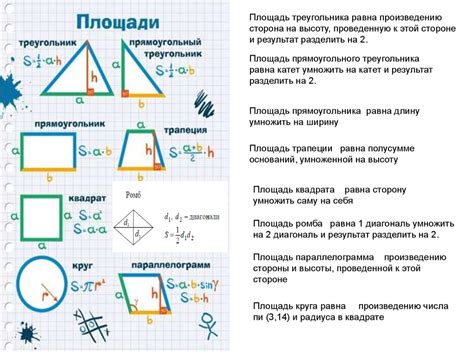 Узнайте отношение площади рулона к площади комнаты