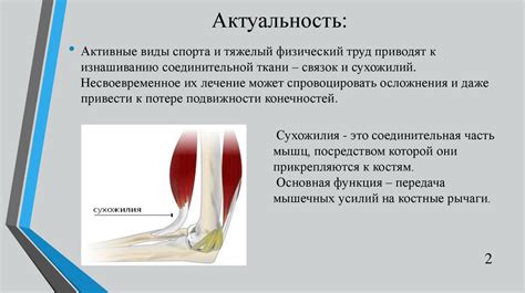 Укрепление связок и сухожилий