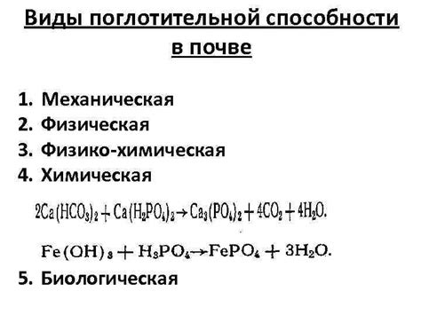 Улучшение поглотительной способности