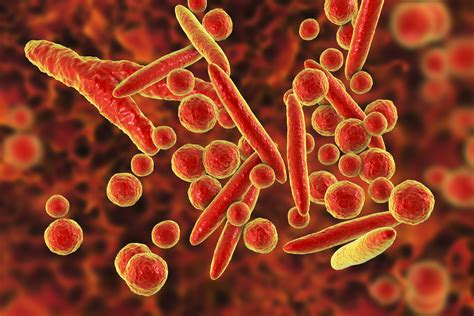 Уникальные особенности детской иммунной системы при воздействии Mycoplasma pneumoniae