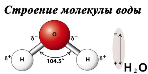 Уникальные свойства и химический состав