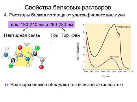 Уникальные свойства растительных белков