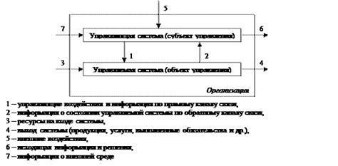 Управляющая и эксплуатирующая организация: основные различия