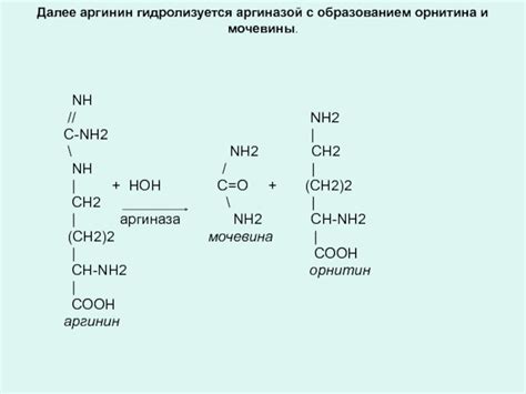 Уровень аммиака и мочевины: важность и значимость