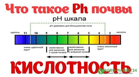 Уровень кислотности