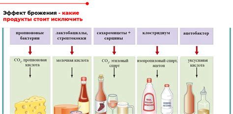 Урчание как проявление удовольствия