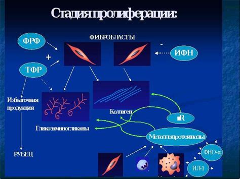 Усиление воспалительного процесса