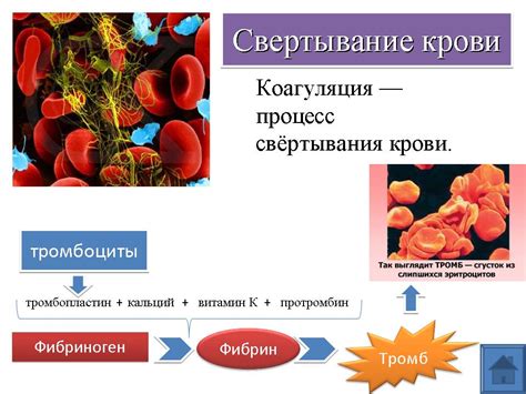 Ускорение свертываемости крови: что делать?