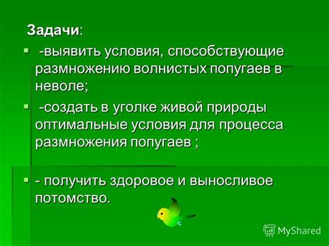 Условия, способствующие размножению моли