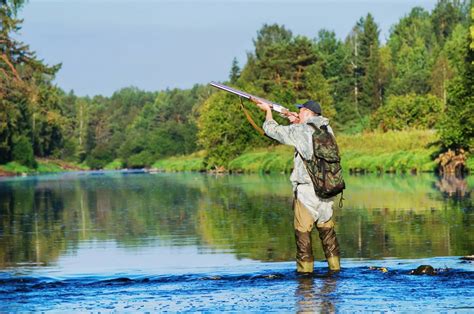 Успешные стратегии охоты на рычащего гиганта в густых зеленых лесах