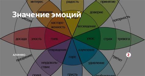 Установление границ эмоций: значение образа жидкости, текущей вдоль стен дома в сновидении