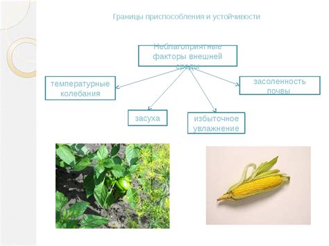 Устойчивость к воздействию среды