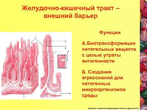 Утраты питательных веществ