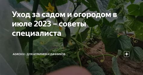 Уход за садом и огородом: забота о природе и обеспечение свежих продуктов